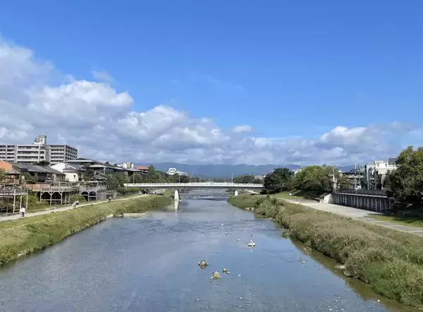 【京都】丸太町河原町周辺のおすすめランチ８軒！極厚カツサンドからラーメンまで【まとめ】