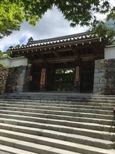 【厳選４】京都オススメ梅雨に訪れたい苔の寺院庭園☆三千院～圓光寺～南禅寺他【左京区】