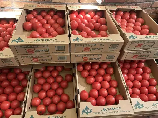 「【ランチ】京都人が長年愛してきたハンバーグ！京都駅の満席人気店「キャピタル 東洋亭」」の画像