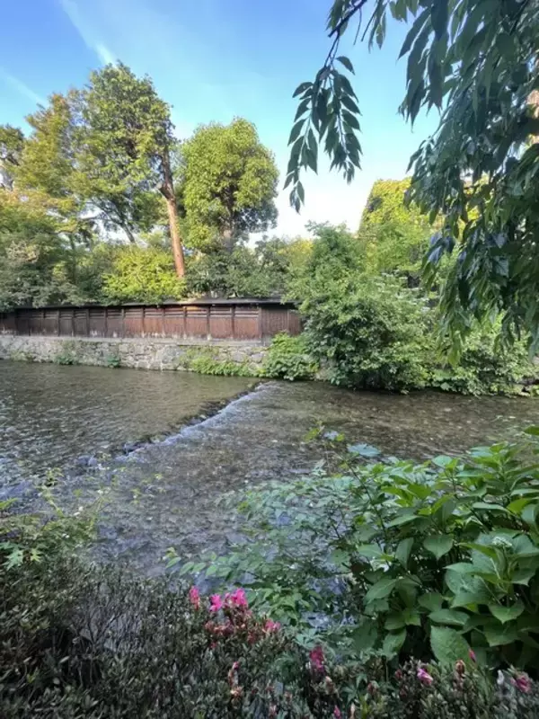 「京都の夏を感じるテラス席で香り立つ、さっぱりすだち蕎麦『三味洪庵』」の画像
