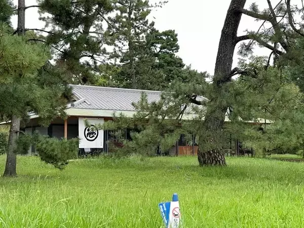 「【京都和菓子】京都御苑限定“福来どらやき”を緑豊かな老舗『笹屋伊織』のカフェで☆」の画像