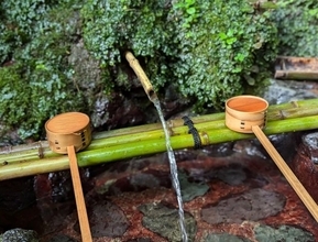 新米の季節！京都にある「神社の御神水」でご飯を美味しく炊いてみませんか？