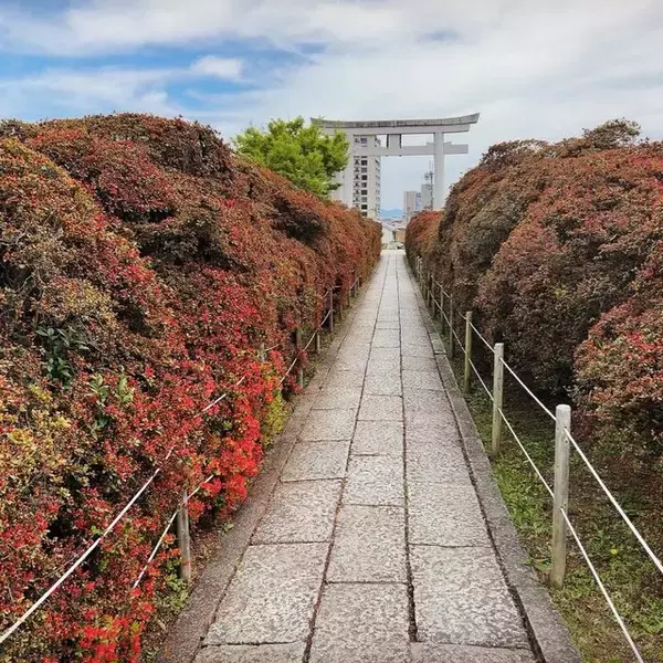 【京都ランチ】筍発祥地で旬の筍ちらし寿司＆若竹うどん！長岡天満宮境内「開田茶屋龍八」