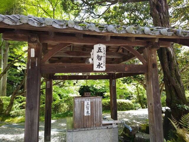 京都のおすすめ新緑スポット！『今熊野観音寺』なら青もみじの中をゆっくりと散策出来ます