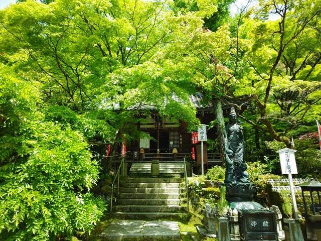 京都のおすすめ新緑スポット！『今熊野観音寺』なら青もみじの中をゆっくりと散策出来ます