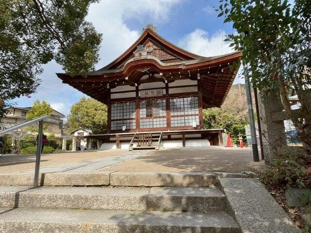 【京都神社仏閣巡り】迷える参拝客を導く『みかえり兎』のパワースポット「宇治神社」