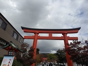 【京都】伏見稲荷に隠れ家すぎる実力派鮨店が誕生！地元出身の３代目が手掛ける「松廣」