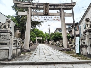 【京都2026】名所「藤森神社」の紫陽花は今年も美しい！限定御朱印もあり