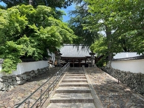 【京都お寺】大河ドラマ『豊臣兄弟』で注目☆秀吉が一夜で三重塔建立の通称“宝寺”「宝積寺」