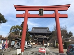 【京都ぶらり】にゃんこ好き必訪の通称『ネコ神社』☆日本三大酒神の一つ「梅宮大社」