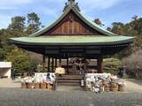 「【京都ぶらり】にゃんこ好き必訪の通称『ネコ神社』☆日本三大酒神の一つ「梅宮大社」」の画像4
