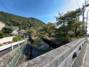 【2025京都秋の花】市民憩い『秋桜』名残り☆国宝・琵琶湖疏水の穴場遊歩道「山科疏水」