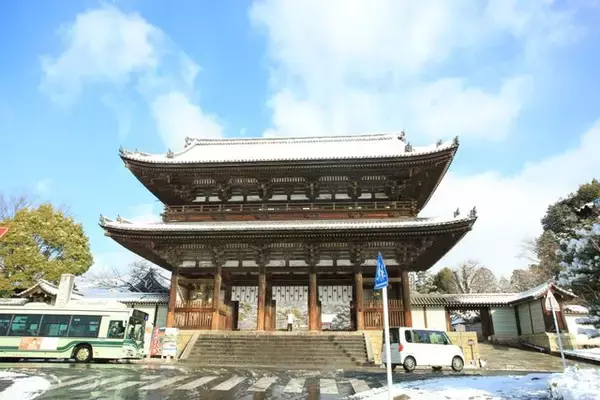【雪の京都】雪景色の五重塔や雪の華を咲かせた御室桜が美しい「御室仁和寺」【世界遺産】