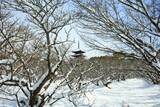 「【雪の京都】雪景色の五重塔や雪の華を咲かせた御室桜が美しい「御室仁和寺」【世界遺産】」の画像10