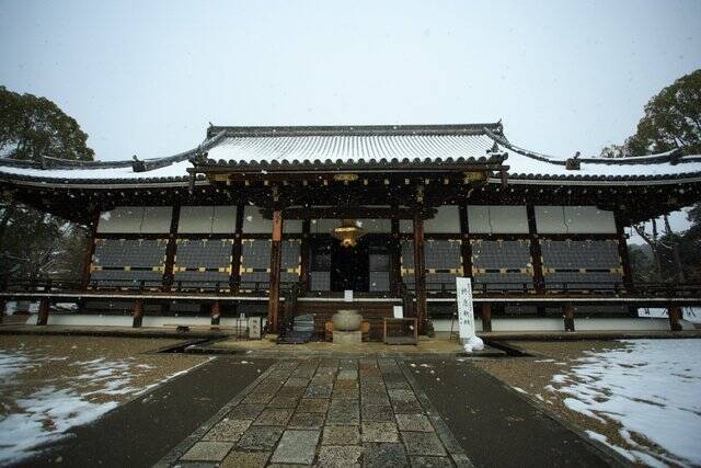【雪の京都】雪景色の五重塔や雪の華を咲かせた御室桜が美しい「御室仁和寺」【世界遺産】