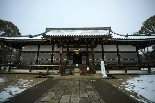 「【雪の京都】雪景色の五重塔や雪の華を咲かせた御室桜が美しい「御室仁和寺」【世界遺産】」の画像