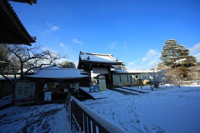 【雪の京都】雪景色の五重塔や雪の華を咲かせた御室桜が美しい「御室仁和寺」【世界遺産】