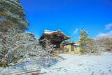 「【雪の京都】雪景色の五重塔や雪の華を咲かせた御室桜が美しい「御室仁和寺」【世界遺産】」の画像3