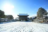 「【雪の京都】雪景色の五重塔や雪の華を咲かせた御室桜が美しい「御室仁和寺」【世界遺産】」の画像4