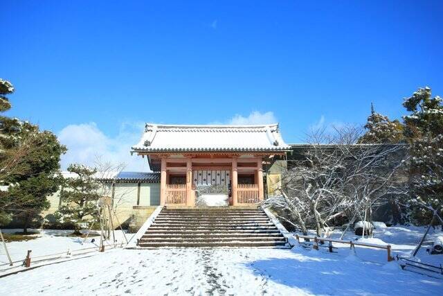 【雪の京都】雪景色の五重塔や雪の華を咲かせた御室桜が美しい「御室仁和寺」【世界遺産】