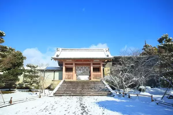 「【雪の京都】雪景色の五重塔や雪の華を咲かせた御室桜が美しい「御室仁和寺」【世界遺産】」の画像