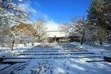 「【雪の京都】雪景色の五重塔や雪の華を咲かせた御室桜が美しい「御室仁和寺」【世界遺産】」の画像7