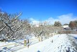「【雪の京都】雪景色の五重塔や雪の華を咲かせた御室桜が美しい「御室仁和寺」【世界遺産】」の画像9