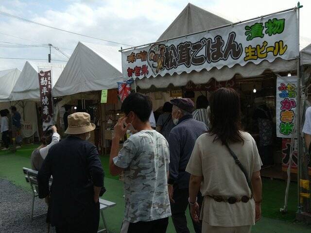 【京都コスモス】コスモスの季節が到来♪コスモススポット3選【京都花めぐり】