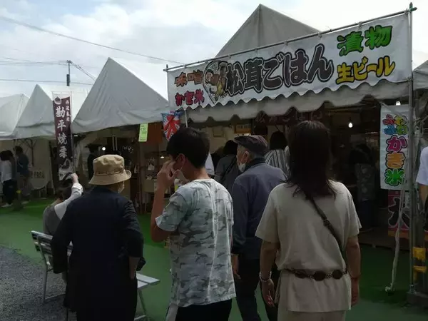 「【京都コスモス】コスモスの季節が到来♪コスモススポット3選【京都花めぐり】」の画像