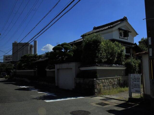 【京都コスモス】コスモスの季節が到来♪コスモススポット3選【京都花めぐり】