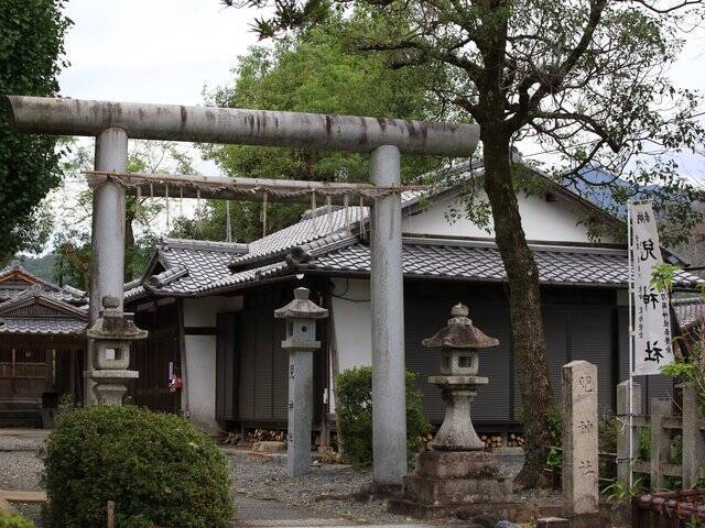 【京都コスモス】コスモスの季節が到来♪コスモススポット3選【京都花めぐり】