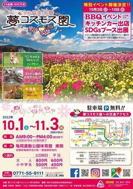 【京都コスモス】コスモスの季節が到来♪コスモススポット3選【京都花めぐり】