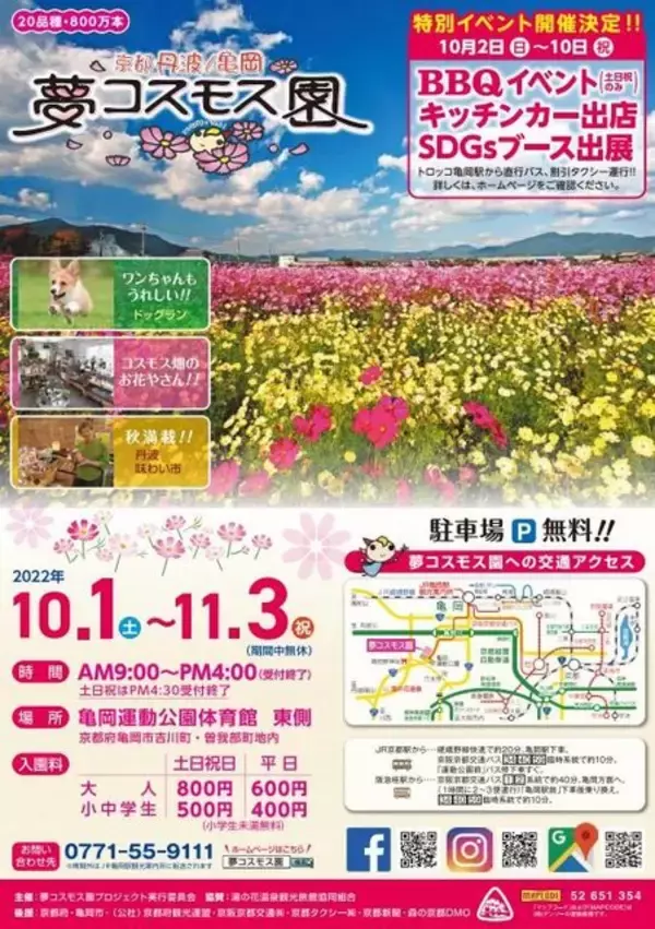 「【京都コスモス】コスモスの季節が到来♪コスモススポット3選【京都花めぐり】」の画像