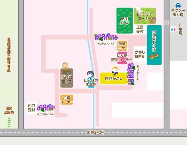 【京都コスモス】コスモスの季節が到来♪コスモススポット3選【京都花めぐり】