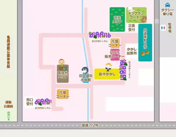 「【京都コスモス】コスモスの季節が到来♪コスモススポット3選【京都花めぐり】」の画像