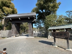 【京都桜最新2026】地下鉄駅スグ好立地な桜名所☆市内中心『京都御苑』枝垂れ桜が見頃☆