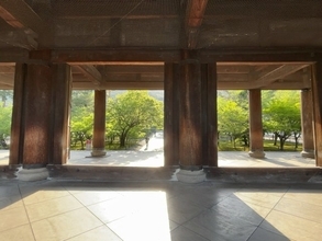 【京都新緑2026】新緑名所をパトロール☆南禅寺～永観堂～インクライン～蹴上浄水場ツツジ