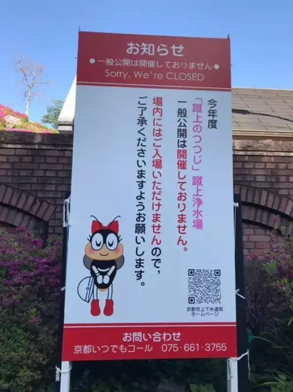 「【2023京都の花】東山斜面一面をピンクに彩る『蹴上のつつじ』見頃！三条通の絶景☆」の画像