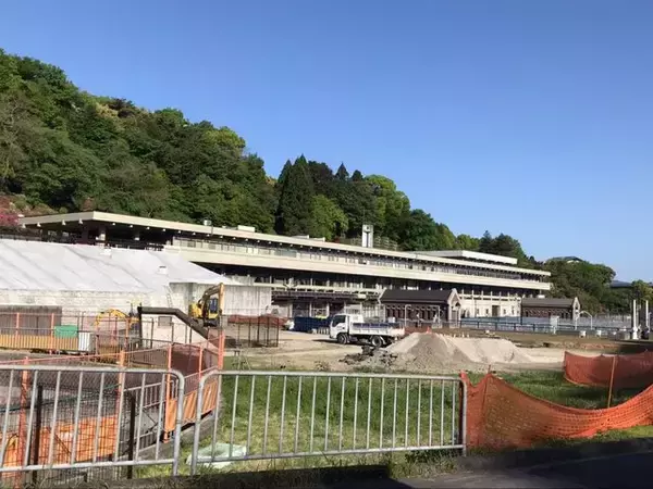 「【2023京都の花】東山斜面一面をピンクに彩る『蹴上のつつじ』見頃！三条通の絶景☆」の画像