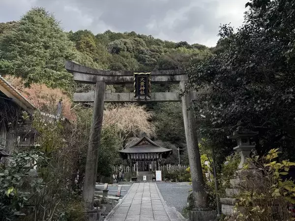 【京都】2025年初詣に！珍しい狛巳が鎮座する「大豊神社（おおとよ）」