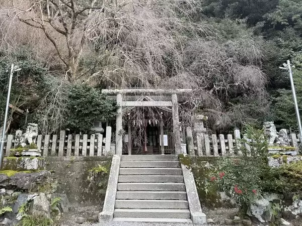 「【京都】2025年初詣に！珍しい狛巳が鎮座する「大豊神社（おおとよ）」」の画像