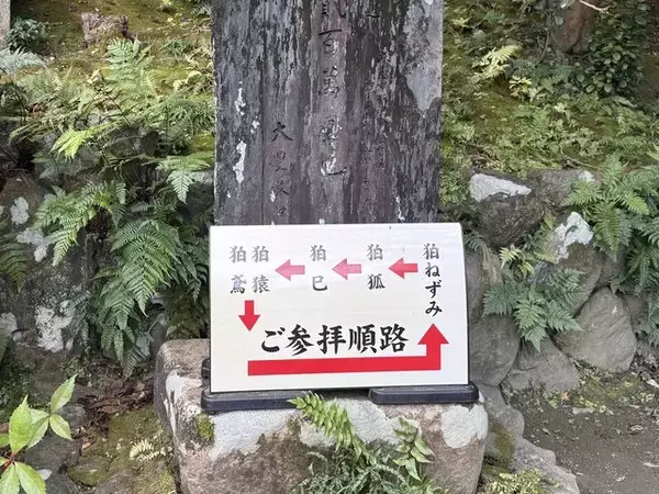 「【京都】2025年初詣に！珍しい狛巳が鎮座する「大豊神社（おおとよ）」」の画像