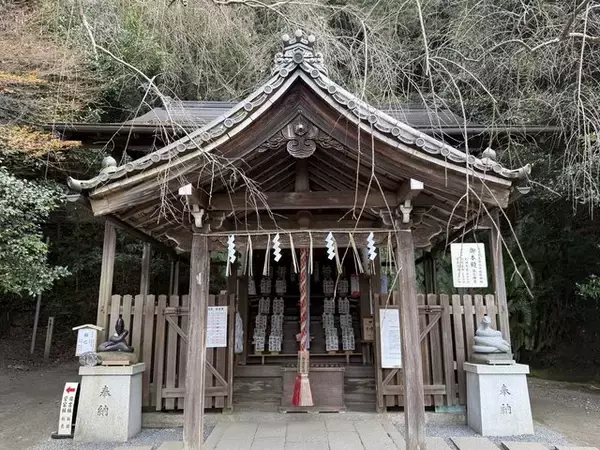 「【京都】2025年初詣に！珍しい狛巳が鎮座する「大豊神社（おおとよ）」」の画像