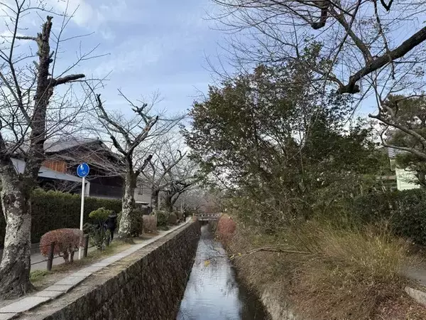 「【京都】2025年初詣に！珍しい狛巳が鎮座する「大豊神社（おおとよ）」」の画像