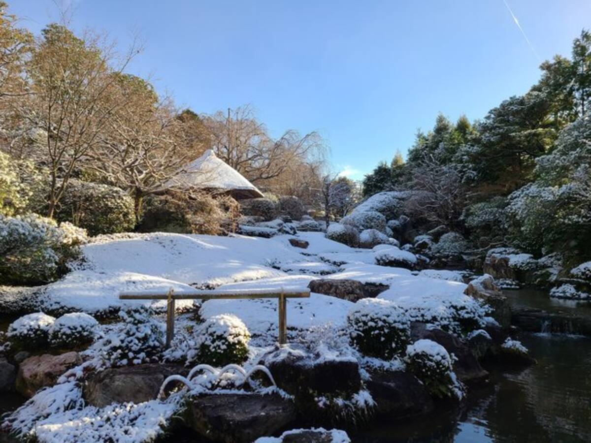 22年 まさに絶景 雪化粧の京都 選 22年1月24日 エキサイトニュース