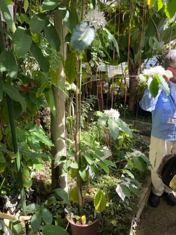 「【京都穴場スポット】3000種の植物園☆製薬会社『日本新薬』無料施設「山科植物資料館」」の画像
