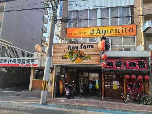 「【京都長岡京市】こだわり野菜の美味い店『３軒』　市役所横の新店や地元の人気店など」の画像