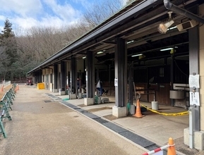 午年に是非とも訪れたい見学自由の厩舎「京都平安騎馬隊」