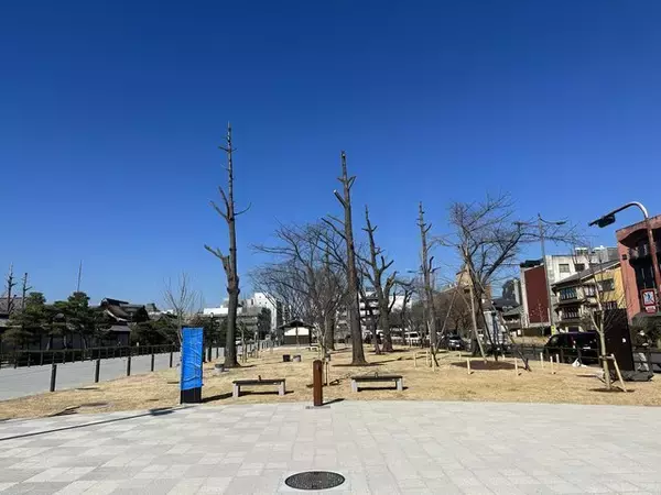 「【話題】京都 東本願寺前に歌う巨大こけし「花子」が登場！3/12まで」の画像