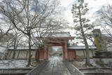 「【雪の京都2024】深々と降る雪が心にしみる風景「真如堂」」の画像1